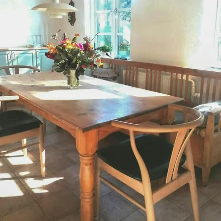 Nature Gem Near Haderslev With 160-year-old Beech *