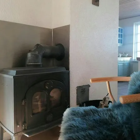 Nature Gem Near Haderslev With 160-year-old Beech