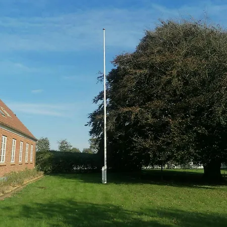 Nature Gem Near Haderslev With 160-year-old Beech *