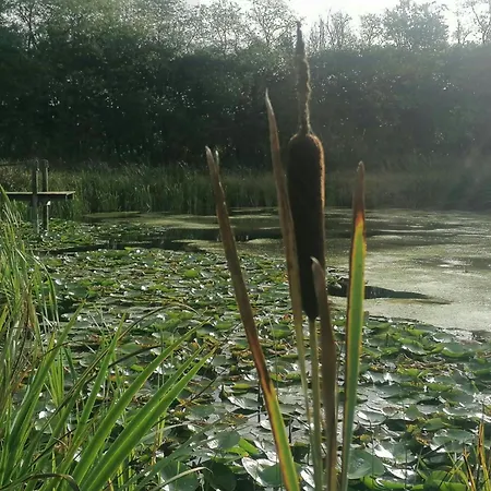 Ferienhaus Nature Gem Near Haderslev With 160-year-old Beech