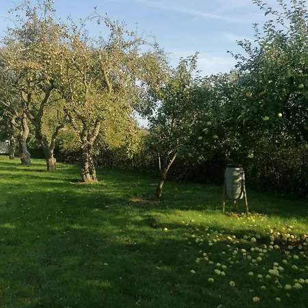 Nature Gem Near With 160-year-old Beech הדרסלב